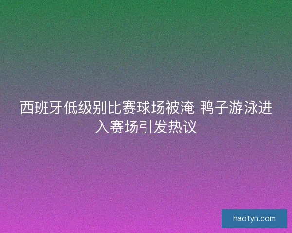 西班牙低级别比赛球场被淹 鸭子游泳进入赛场引发热议