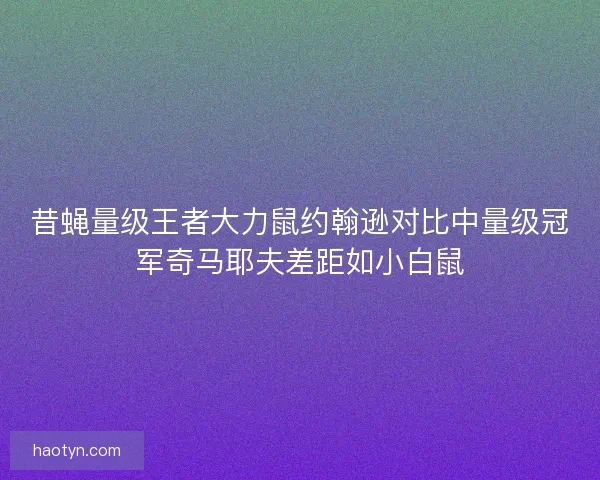 昔蝇量级王者大力鼠约翰逊对比中量级冠军奇马耶夫差距如小白鼠